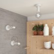 Fermaluce Monochrome, obojana drvena reflektor lampa za zid ili strop duljine 14,2 cm