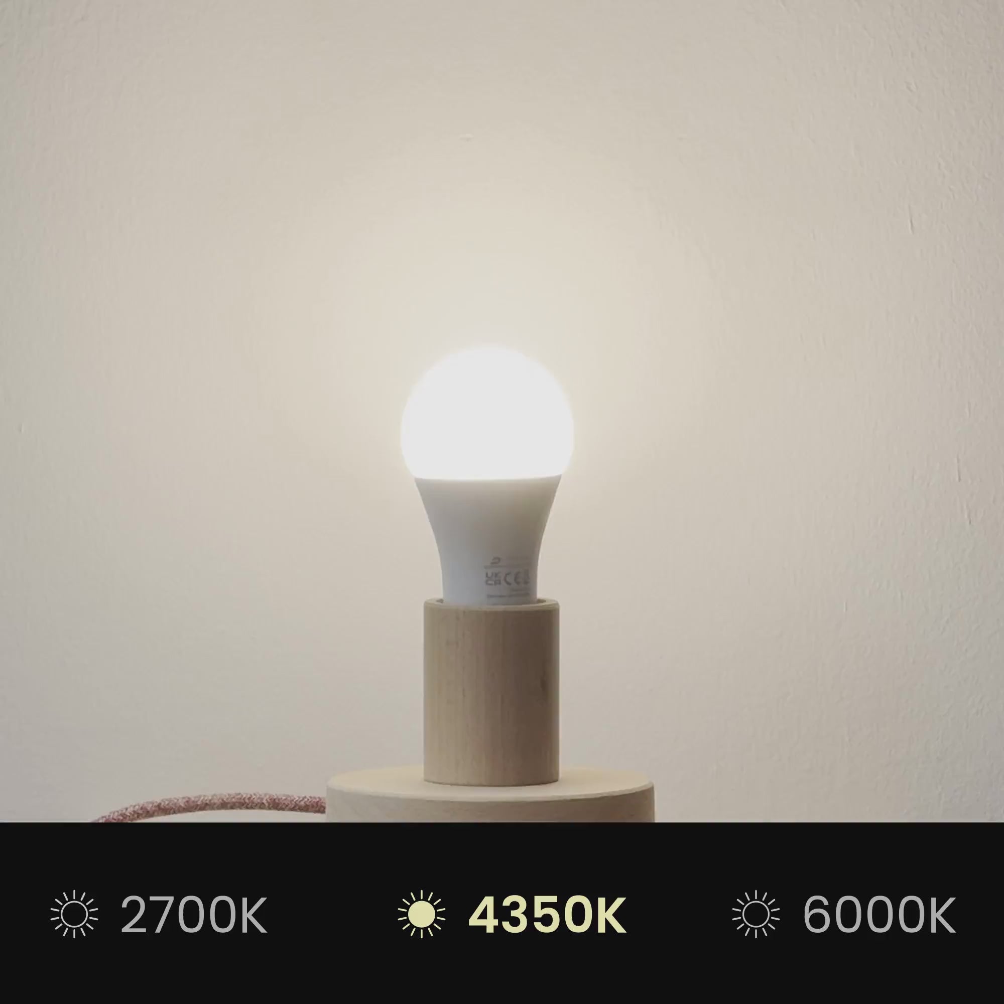 Učitaj video: Sjenilo Athena s E27 grlom za stolnu ili podnu lampu - Proizvedeno u Italiji - Camelot Smeđa